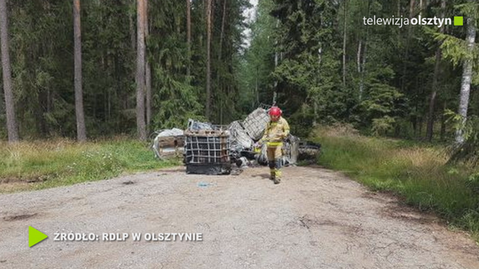 130 tys. zł na sprzątanie lasu 