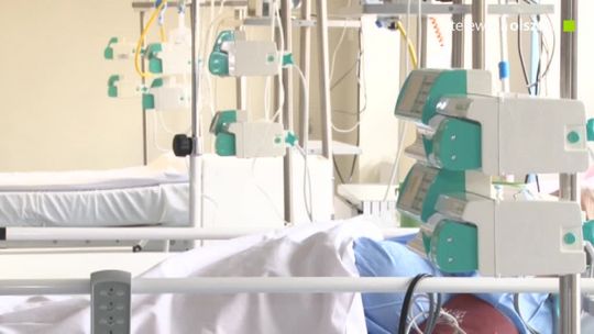 26 stycznia w rocznicę pierwszego udanego przeszczepu nerki w Polsce obchodzony jest Dzień Transplantacji 
