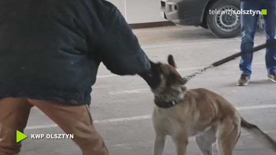 Ratownicy medyczni szkoleni przez policję. Jak reagować przy zagrożeniu ze strony zwierząt