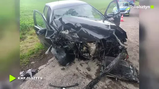 Auto uderzyło w drzewo. Kierująca trafiła do szpitala