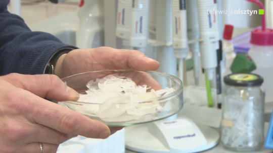 Bioplastik kontra plastik