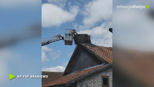 Bocian wypadł z gniazda. Pomogli mu strażacy