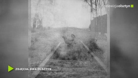 BWA zaprasza na wernisaż wystawy ,,Kraina" Wojtka Moskwy