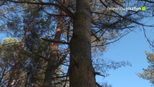 Ciężki sprzęt pojawił nad jeziorem Ukiel