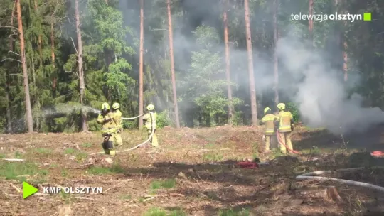 Ćwiczenia służb na wypadek pożaru lasu pod Olsztynem