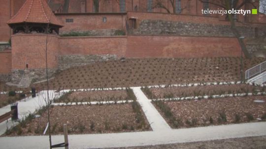 Czy planty miejskie będą miały swoje patronki? 