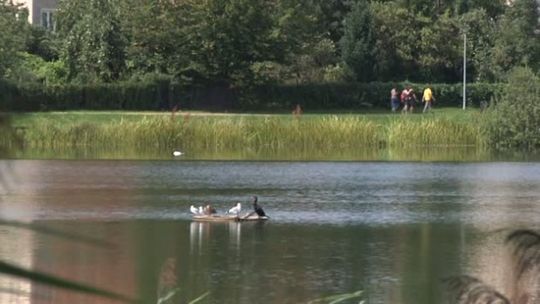 Czy Warmia i Mazury to region atrakcyjny turystycznie?