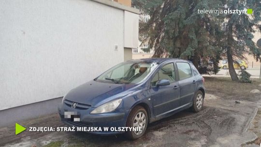 Dbajmy o tereny zielone