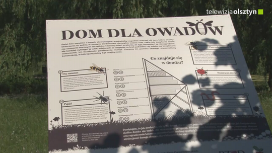 Domki dla owadów  stanęły właśnie w Olsztynie