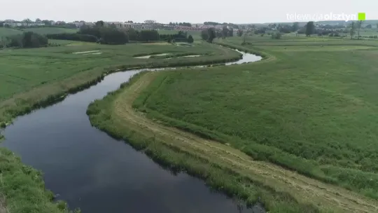 Drugi etap koszenia Łyny