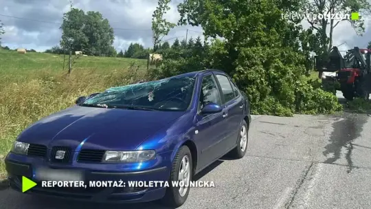 Drzewo runęło na jadący samochód