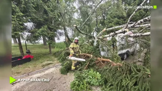 Drzewo spadło na auto