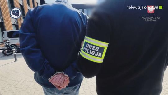 Działania służb przeciwko przestępczości seksualnej wobec małoletnich