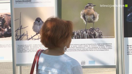 Dzikie Mazury w obiektywie mieszkańców Giżycka