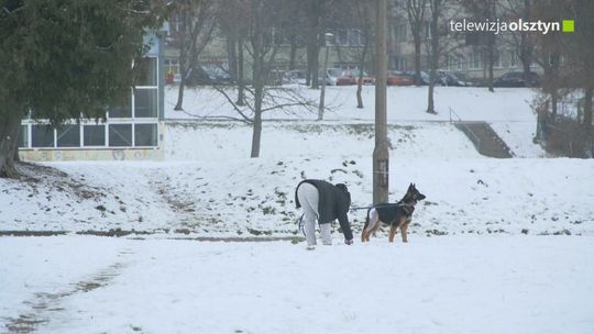 Gdzie te woreczki na psie odchody?