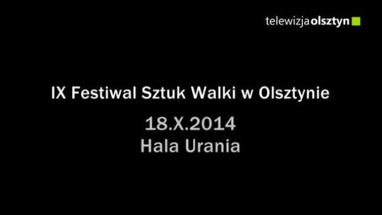 IX Festiwal Sztuk walki w Olsztynie