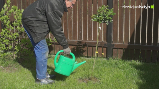 Jak osoby na kwarantannie spędzają wolny czas ?
