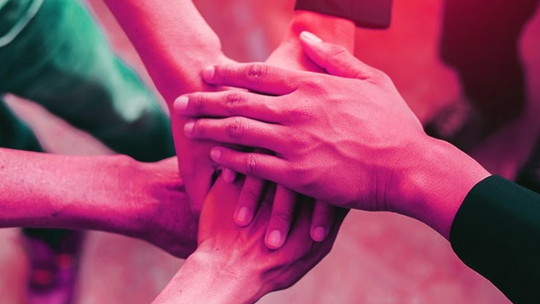 Jak przebiegła pierwsza akcja Kanga Foundation?