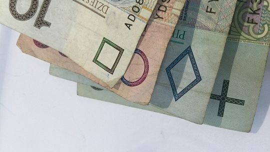Jak sprawdzić wiarygodność firmy z kraju i z zagranicy?