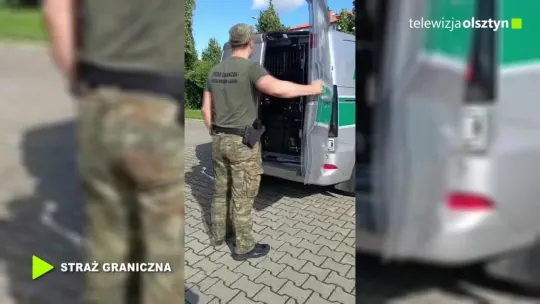 Kierowali po alkoholu. Dwaj cudzoziemcy zostali zobowiązani do opuszczenia Polski