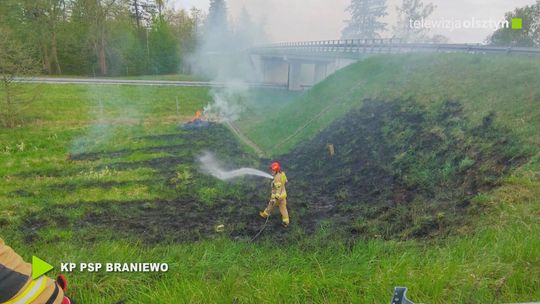 Kilkadziesiąt dochodzeń w sprawie pożarów nieużytków