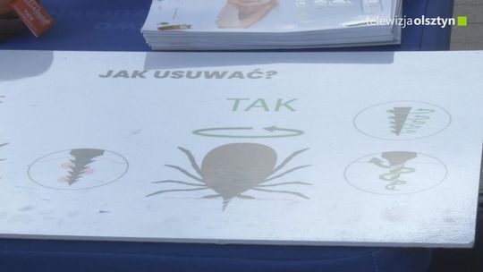 Kleszcze coraz groźniejsze. Warmia i Mazury wśród regionów najbardziej zagrożonych