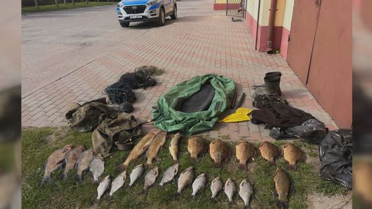 Kłusownicy zatrzymani. Odpowiedzą przed sądem