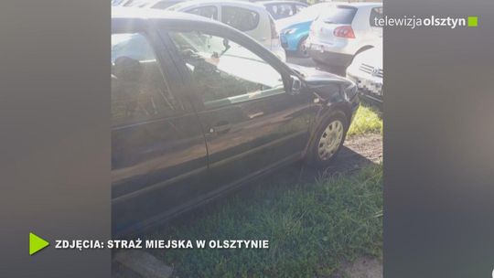 Kolejne zgłoszenia o parkowaniu na terenach zielonych