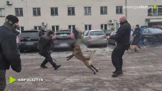 Kolejny etap szkolenia policyjnych duetów – przewodnicy psów doskonalili się w Elblągu