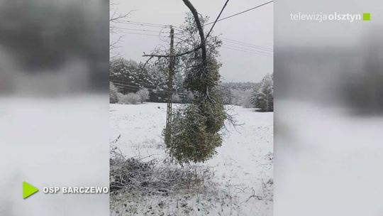 Konar drzewa spadł na linię energetyczną niskiego napięcia