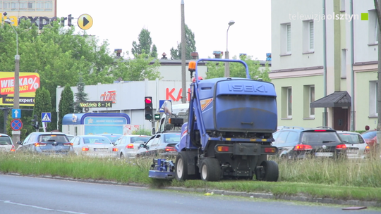 Kosić czy nie kosić?