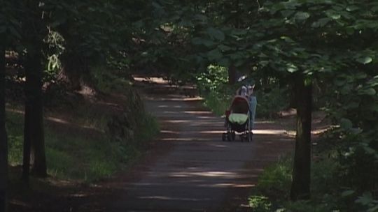 Las Miejski w Olsztynie otwarty dla odwiedzających