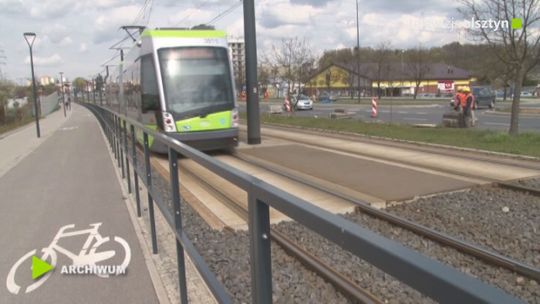 Masowa wycinka drzew w stolicy regionu z powodu nowych linii tramwajowych 