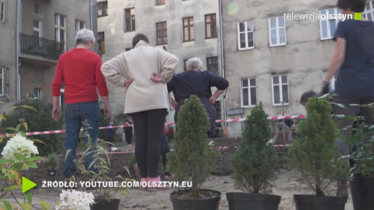 Mieszkańcy wspólnymi siłami zmienią swoje podwórka