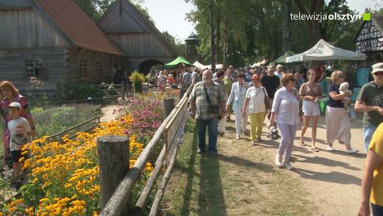 Muzeum Budownictwa Ludowego w Olsztynku zaprasza na święto ziół.