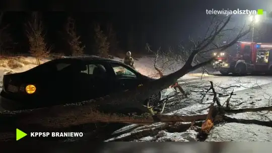Na jadący samochód spadł konar drzewa