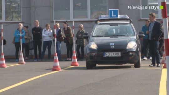 Na tylne szyby wróci zielony listek