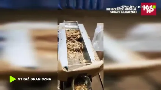 Nielegalna fabryka tytoniu zlikwidowana. Straty oszacowano na 15 mln zł