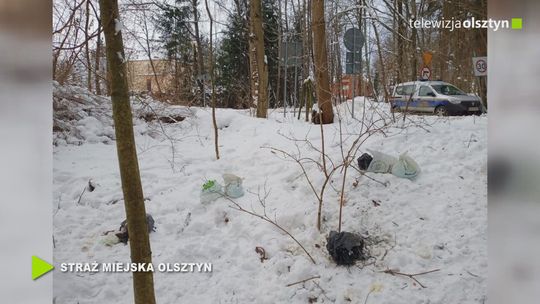 Nielegalne śmieci w lesie. Sprawca szybko ustalony