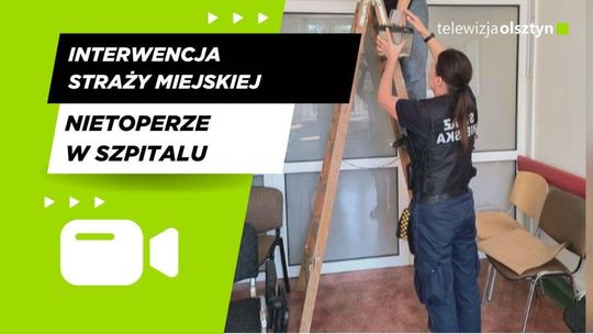 Nietoperze pod okiem strażników