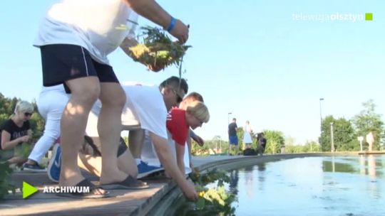 Noc Świętojańska w Termach Warmińskich