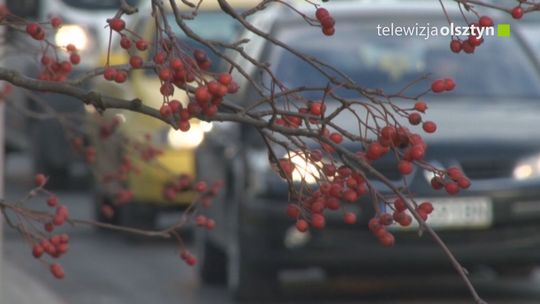 Nowe tablice rejestracyjne. Rząd wprowadza zmiany