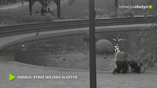 O dwóch strażnikach i rodzinie kaczuszek