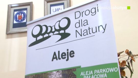 Ochrona zadrzewień