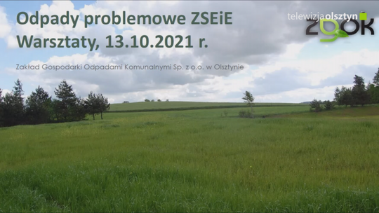 Odpady problemowe 
