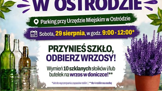 Ostróda znów zbiera szkło! Wielka Zbiórka Szkła wraca do miasta
