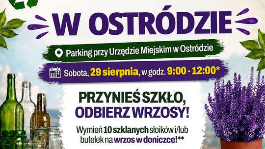 Ostróda znów zbiera szkło! Wielka Zbiórka Szkła wraca do miasta