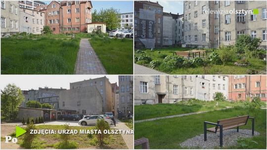„Podwórka z Natury” zmieniają miasto