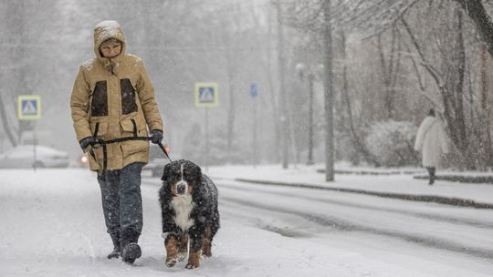 Pogoda. Wraca zima, ale nie w całej Polsce [ARTYKUŁ]