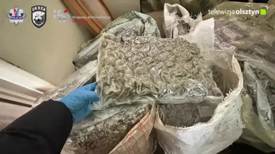 Policja przejęła ponad 60 kg narkotyków